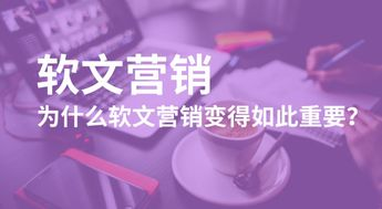 一、软文营销的魅力与挑战