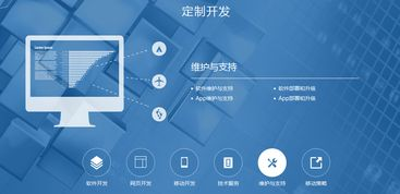 一、明确软件开发目的与需求