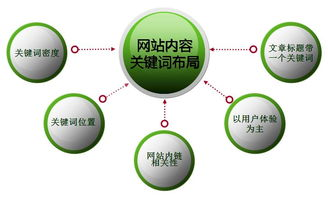 一、为什么选择视频教程进行SEO优化?