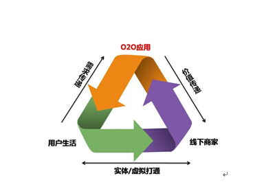 一、教育培训机构的定义与作用