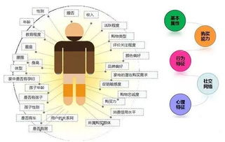 一、了解B站用户画像，精准定位动漫内容