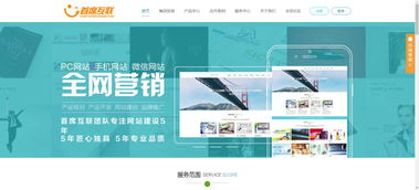 一、选择大型网站建设公司的重要性