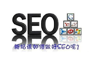 一、SEO优化费用的决定因素