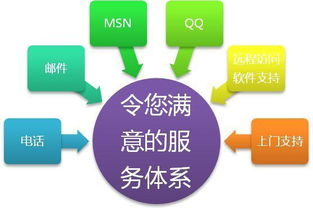 一、潍坊建站市场分析