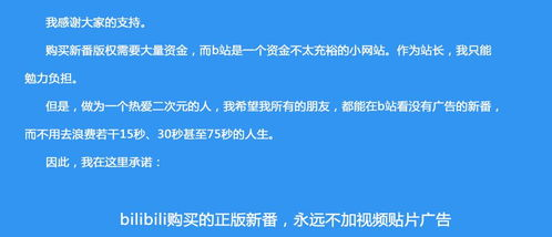 一、B站919购物节的起源与发展