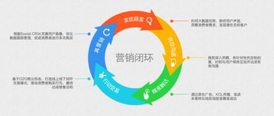 一、明确广告目标和受众