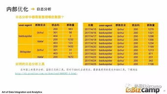 1. 资深SEO专家