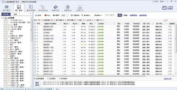 一、小脑袋竞价软件概述