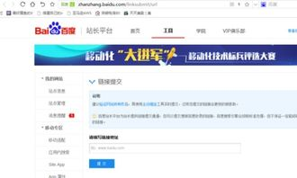 一、百度12333的搜索引擎优化策略