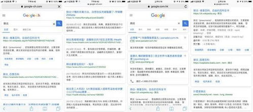 一、Google搜索官网的基本功能
